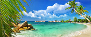 Amazing Seychelles Tropical View Wallpaper