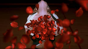 American Beauty 1999 Film Wallpaper