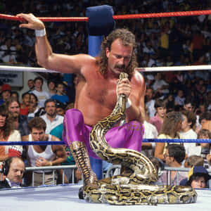 American Professional Wrestler Jake Roberts Staring At Damien Wallpaper