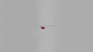 American Psycho Letter Hd Wallpaper