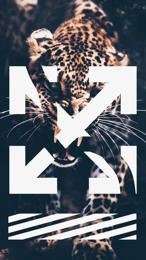 Amur Leopard Off White Iphone Wallpaper