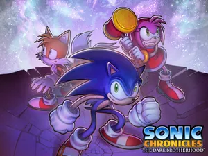 Amy Rose Sonic Chronicles Battle Wallpaper