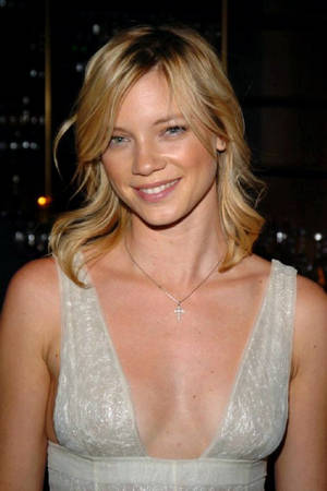 Amy Smart Grey Dress Model Actress Wallpaper