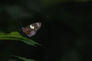 An Abstract Illustration Of A Dark Abyss. Wallpaper