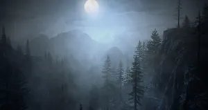An Ethereal Look At A Night Forest Wallpaper