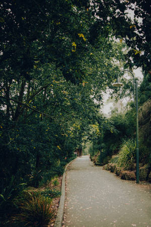 An Idyllic Windy Alley With An Enchanting Green Aesthetic. Wallpaper