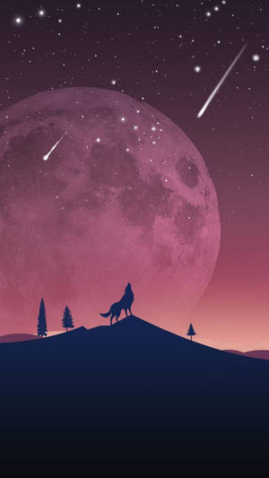 An Ode To The Beauty Of The Night Sky. Wallpaper