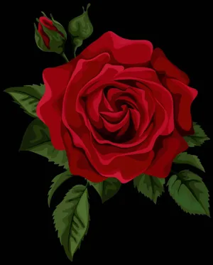 An Up-close View Of A Vibrant Red Rose Wallpaper