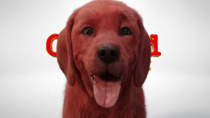 An Upbeat Moment With Clifford The Big Red Dog Wallpaper