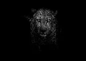 An Upside Down View Of The World Wallpaper