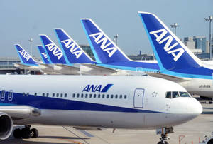 Ana Airplane Rudders Wallpaper