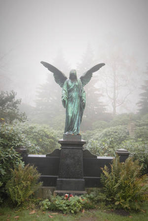 Angel Statue Surrounded With Trees Wallpaper