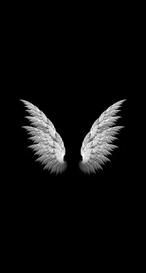 Angel Wings Simple Iphone Wallpaper