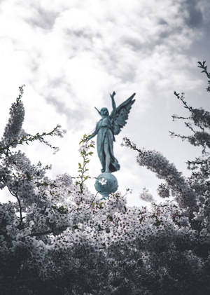 Angels In Heaven White Flowers Statue Wallpaper