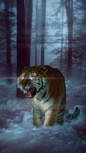 Angry Tiger In Forest Wallpaper