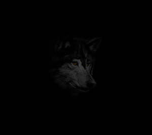 Anime Wolf Black And White In Dark Wallpaper