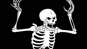 Annoyed Skeleton Meme Wallpaper