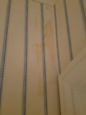 Annoyingly Thorough Phone Wallpaper