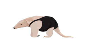 Anteater Illustration Wallpaper