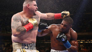 Anthony Joshua Andy Ruiz Wallpaper