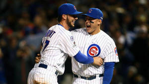 Anthony Rizzo Bryant Celebrate Wallpaper