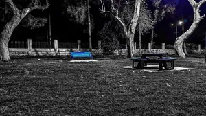 Anti Social Blue Bench Wallpaper