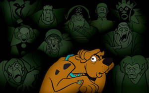 Anxious Face Of Scooby Doo Wallpaper