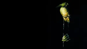 Apocalypse Now Marlon Brando Waterfall Wallpaper