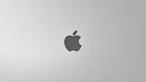 Apple 4k Ultra Hd Gray Background Wallpaper