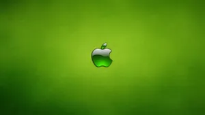 Apple 4k Ultra Hd Neon Green Wallpaper