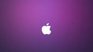 Apple 4k Ultra Hd Purple Background Wallpaper