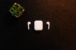 Apple Airpods With Chic Succulents Wallpaper