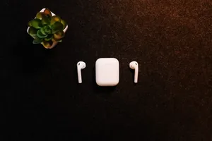 Apple Airpods With Chic Succulents Wallpaper