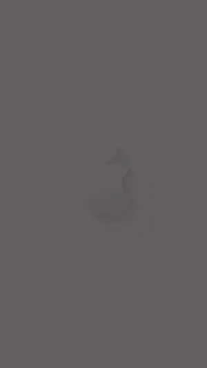 Apple In Solid Grey Background Wallpaper