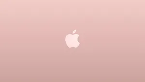 Apple Logo For Rose Gold Laptop Wallpaper