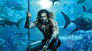 Aquaman Posing With Sharks Wallpaper