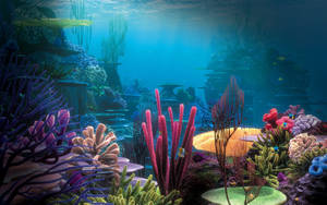 Aquatic Corals And Sponges Wallpaper