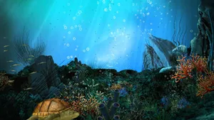 Aquatic Seascape With Corals Wallpaper