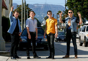 Arctic_ Monkeys_ Hollywood_ Backdrop Wallpaper