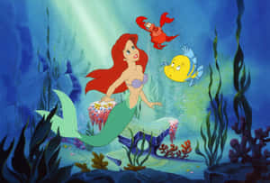 Ariel From Disney's The Little Mermaid Wallpaper