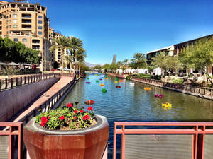 Arizona Old Town Scottsdale Canal Wallpaper