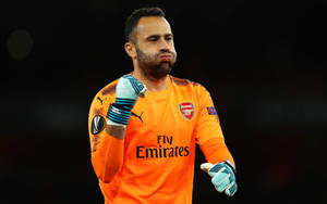 Arsenal Fc Goalkeeper Wallpaper