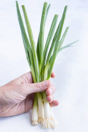 Artsy Hand Holding Green Onions Wallpaper