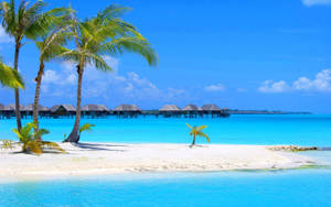 Aruba Azure Beach Wallpaper