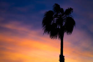 Aruba Beach Twilight Sky Wallpaper