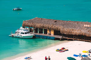 Aruba Bugaloe Beach Bar Wallpaper