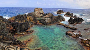 Aruba Conchi Pool Wallpaper