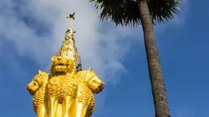 Ashoka Pillar Palm Tree Wallpaper