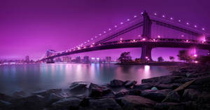 Attractive Purple Bridge At Night Wallpaper