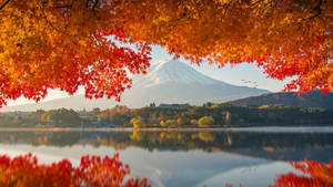 Autumn Macbook Mount Fuji Wallpaper